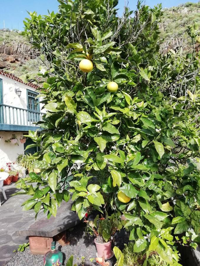 Grosse Finca 19Jh, Pool, Terrasse, Nahe Santa Cruz Santa Cruz de la Palma  Buitenkant foto