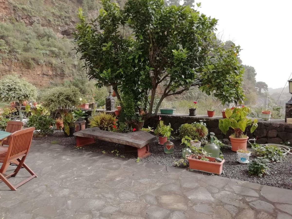 Grosse Finca 19Jh, Pool, Terrasse, Nahe Santa Cruz Santa Cruz de la Palma  Buitenkant foto